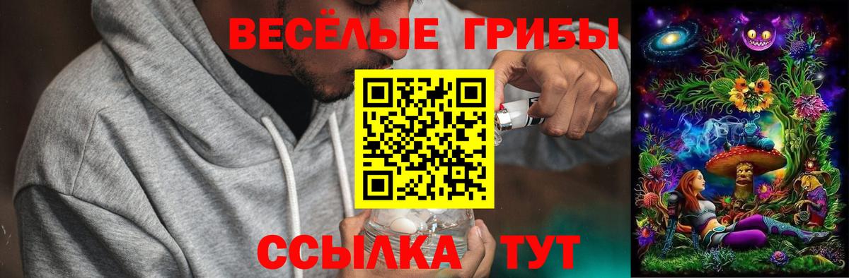 Тельмана  Галлюциногенные грибы ЛСД  Псилоцибиновые грибы GOLDEN TEACHER  Вход с VPN 